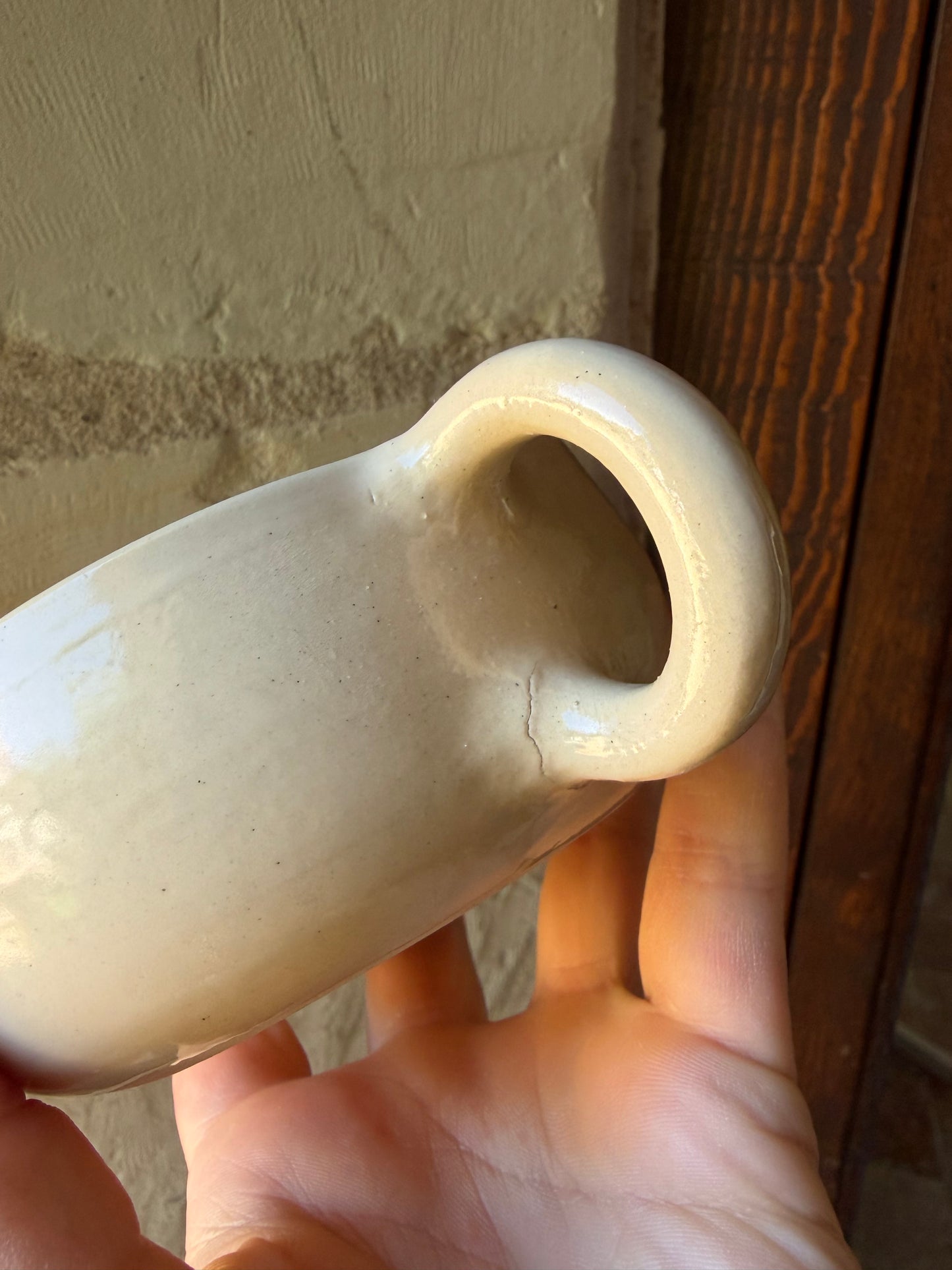 Tasse Lac - Carpes Koi