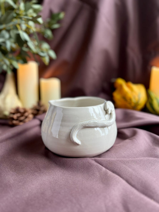 Set Matcha Courge d'automne