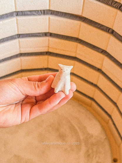 Chat n°8