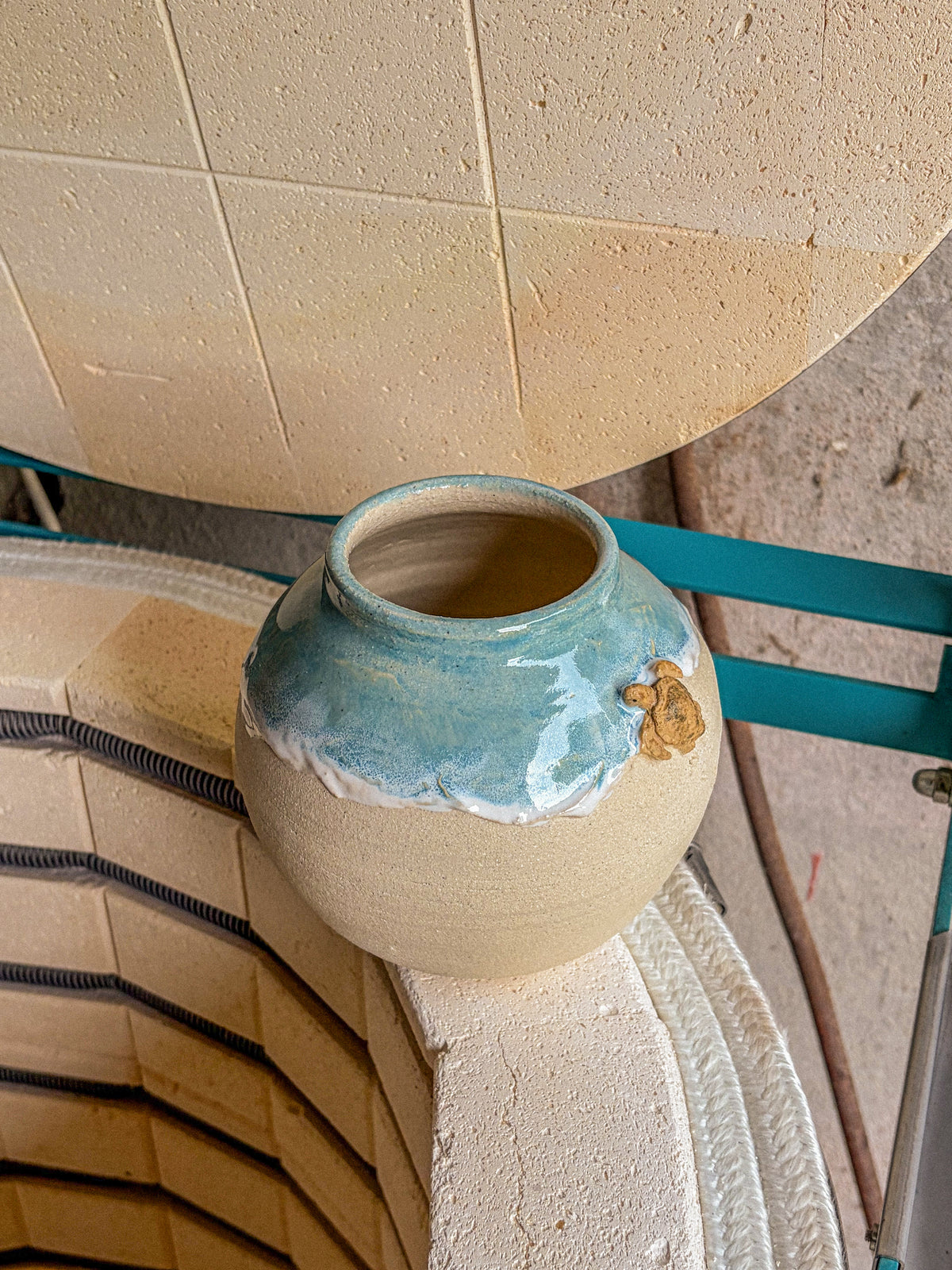 Vase Océan – Tortue de mer n°1