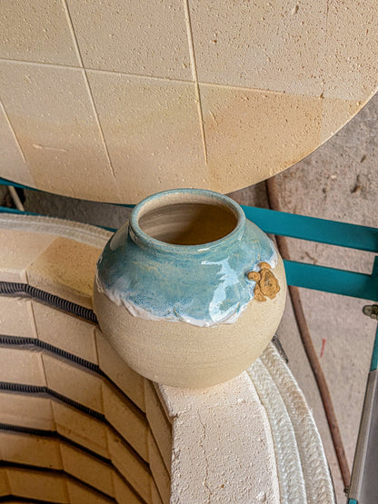 Vase Océan – Tortue de mer n°1