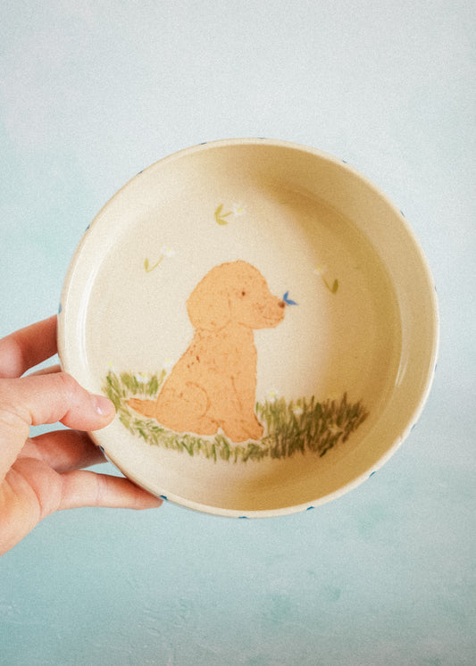 Assiette creuse - Caniche