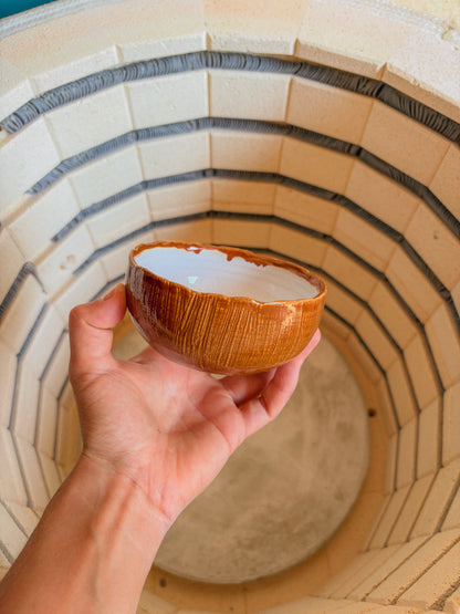 Bol noix de coco